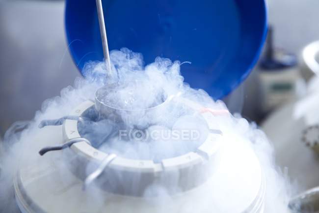 Armazenamento de ovos humanos criogénicos para fertilização in vitro  . — Fotografia de Stock