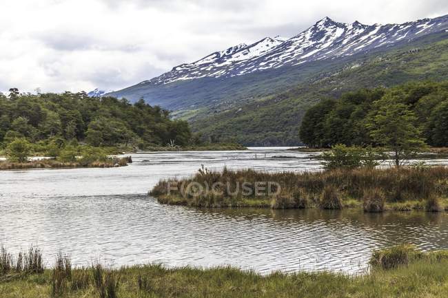 Bahia Ensenada, Tierra del Fuego National Park, Patagonia, Argentina — Stock Photo