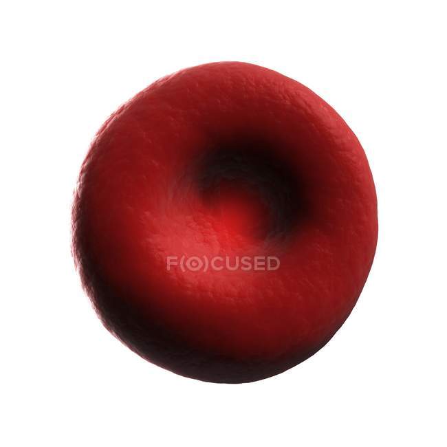 Glóbulos rojos humanos normales - foto de stock