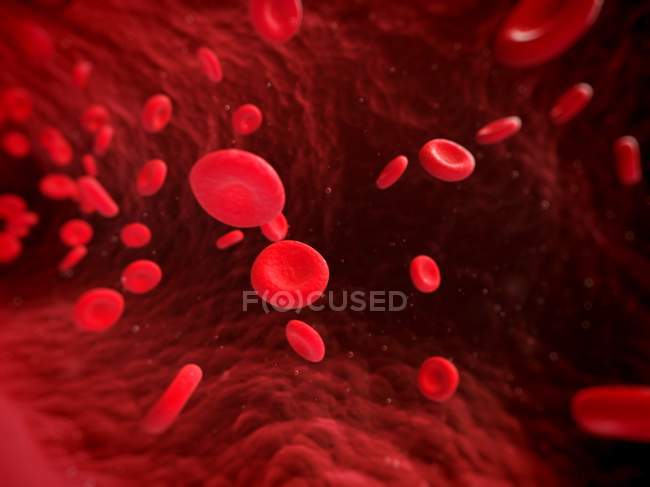 Globules rouges et vaisseaux sanguins — Photo de stock