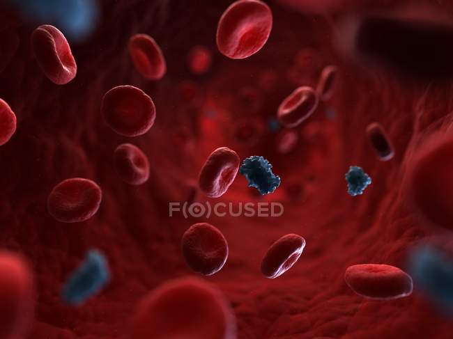 Moléculas de insulina que circulan en el torrente sanguíneo - foto de stock
