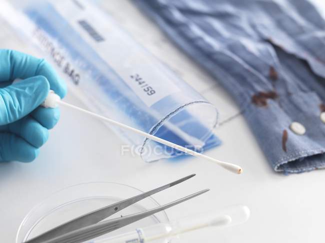 Scienziato forense che prende un tampone dalla camicia macchiata di sangue come prova forense . — Foto stock