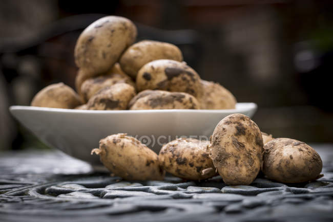 Freshly harvested potatoes — Stock Photo