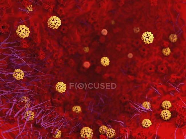 Тяжкий гострий респіраторний синдром вірус — стокове фото