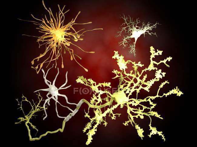 Células cerebrais humanas — Fotografia de Stock