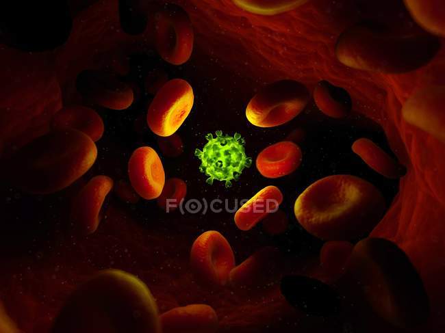 Particelle virali che si diffondono attraverso il flusso sanguigno — Foto stock