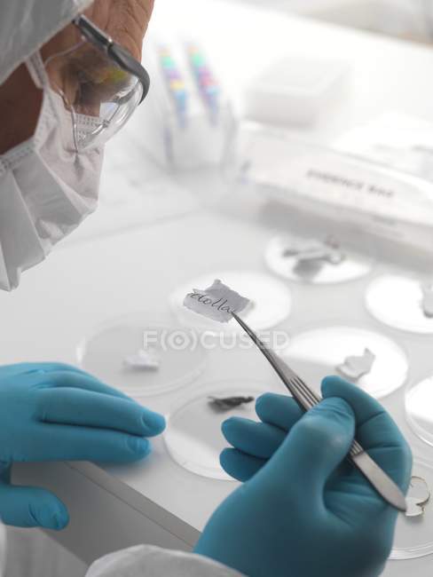 Cientista forense examina provas em papel . — Fotografia de Stock