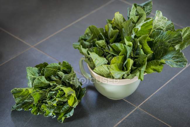 Close-up view of spring cabbage in bowl. — Stock Photo