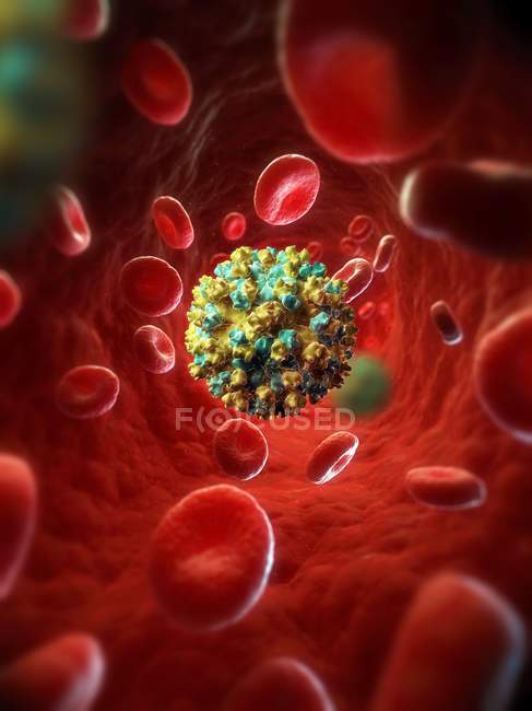 Частицы вируса гепатита Е — стоковое фото