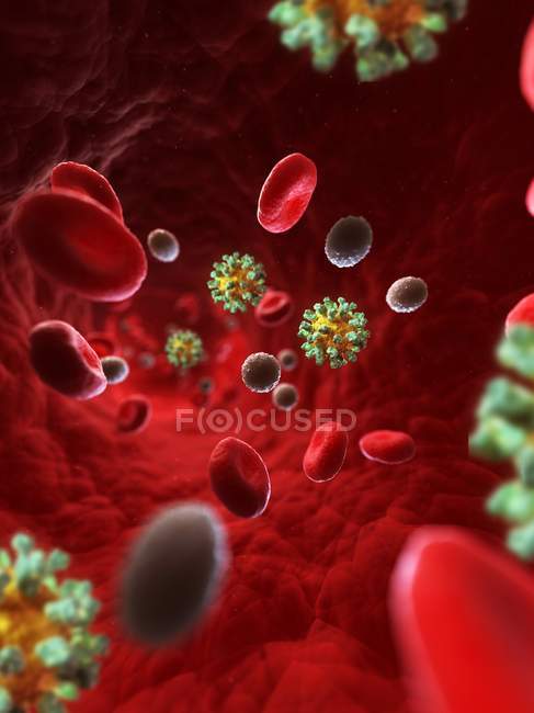 Частинки вірусу гепатиту Е — стокове фото