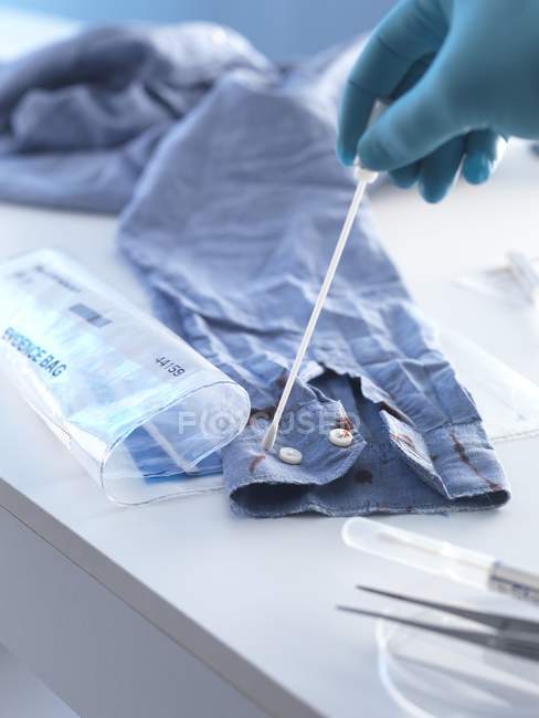 Forensic scientist taking swab from blood-stained shirt as forensic evidence. — Stock Photo