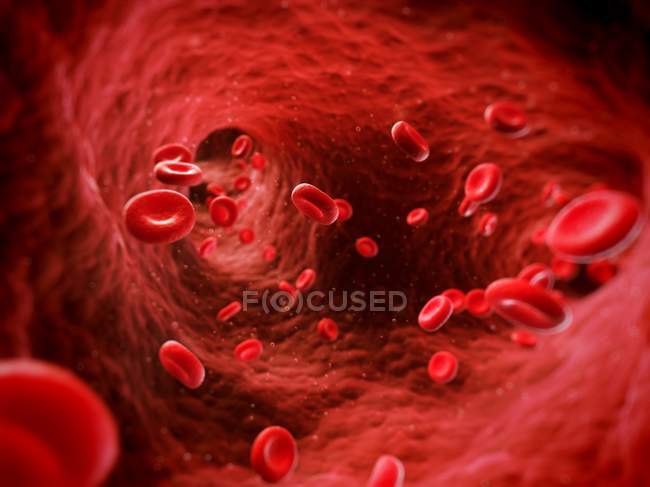 Globules rouges et vaisseaux sanguins — Photo de stock