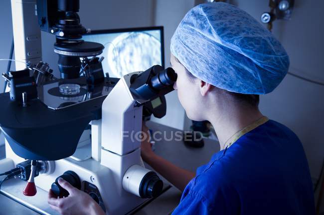 Жіночий вченого, дивлячись в мікроскоп в лабораторії екстракорпоральне запліднення. — стокове фото