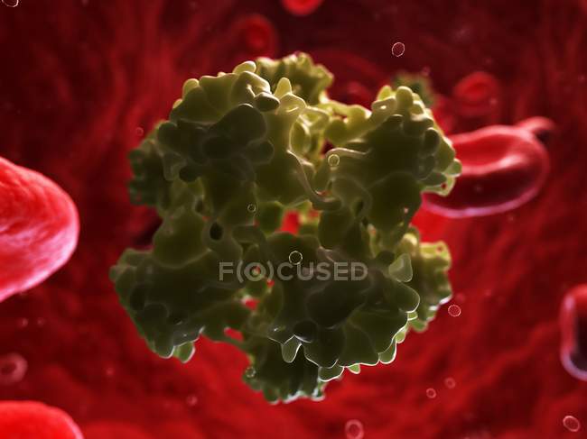 Human papillomavirus particles in the bloodstream — Stock Photo