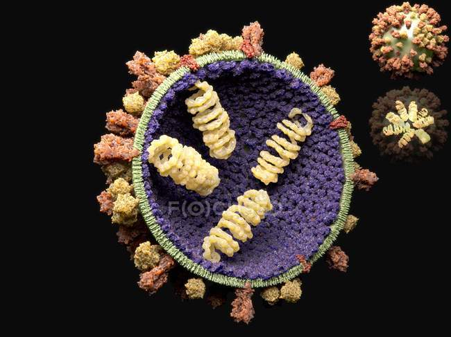 Вирусная структура гриппа — стоковое фото