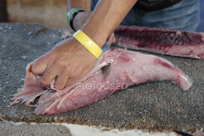 Close-up of male hands carving Thyrsites atun fish. — Stock Photo