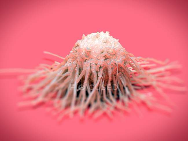 Cellule cancéreuse avec filaments — Photo de stock