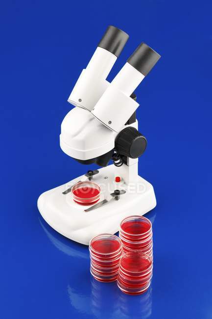 Microscope léger avec boîtes de Pétri sur fond bleu . — Photo de stock