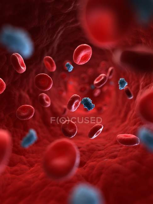 Moléculas de insulina que circulan en el torrente sanguíneo - foto de stock