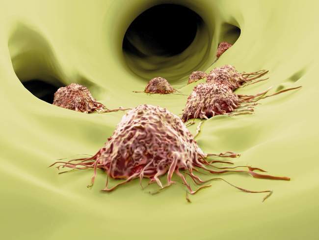 Células cancerígenas migratórias — Fotografia de Stock