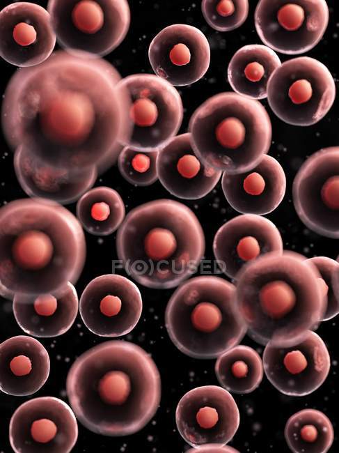 Visual rendering of Human cells — Stock Photo