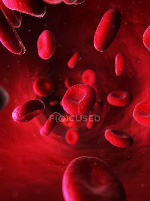 Torrente sanguíneo y paredes arteriales - foto de stock