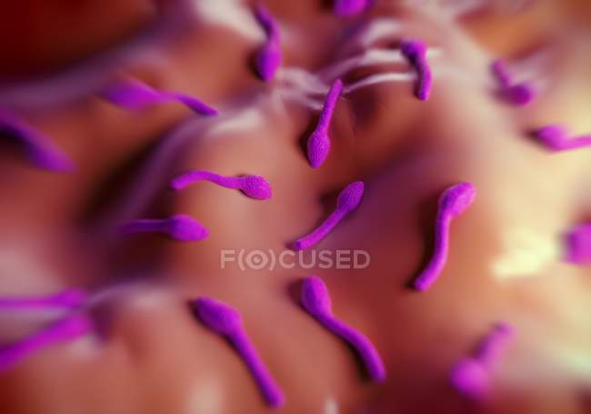 Clostridium tetani bacterium — Stock Photo
