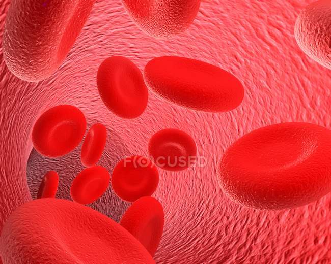 Blood stream and artery walls — Stock Photo