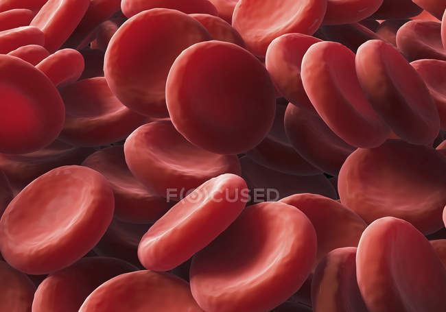 Eritrócitos ou glóbulos vermelhos — Fotografia de Stock
