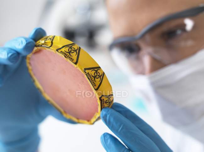 Female scientist holding petri dish with hazardous biological cultures. — Stock Photo