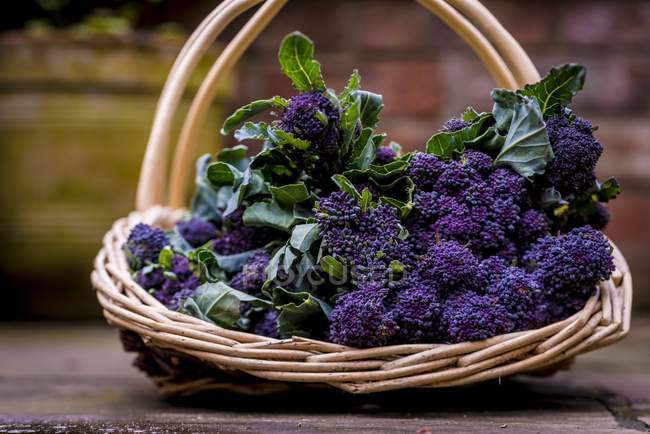 Cesta de mimbre broccolion púrpura - foto de stock