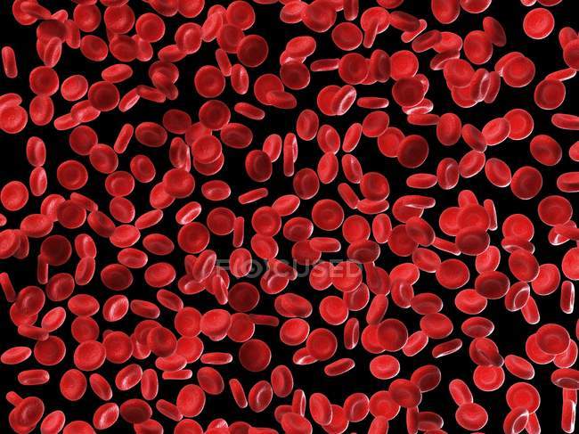 Globules rouges humains — Photo de stock