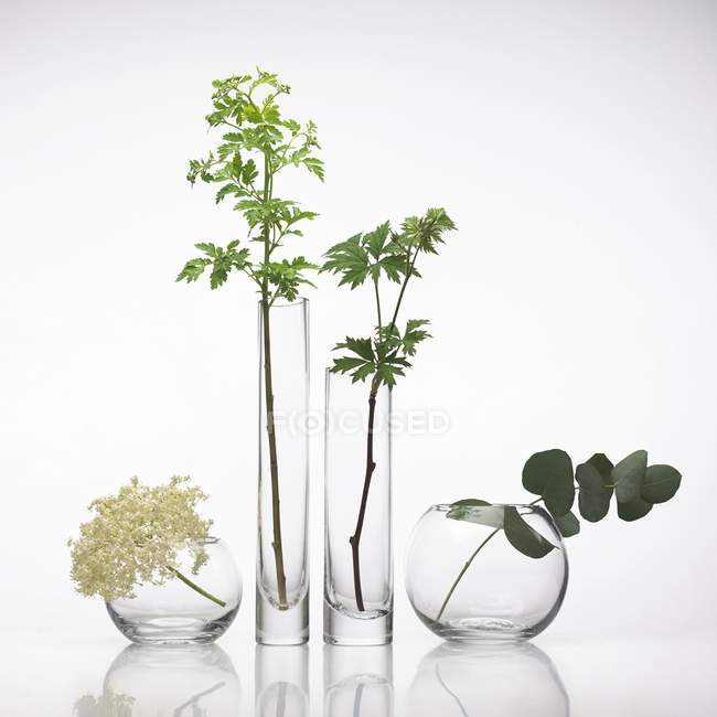 Medical herbs in glass pots — Stock Photo
