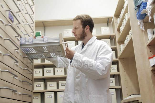 Male pharmacist selecting drugs in drawer. — Stock Photo