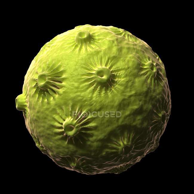 Virus du papillome humain — Photo de stock