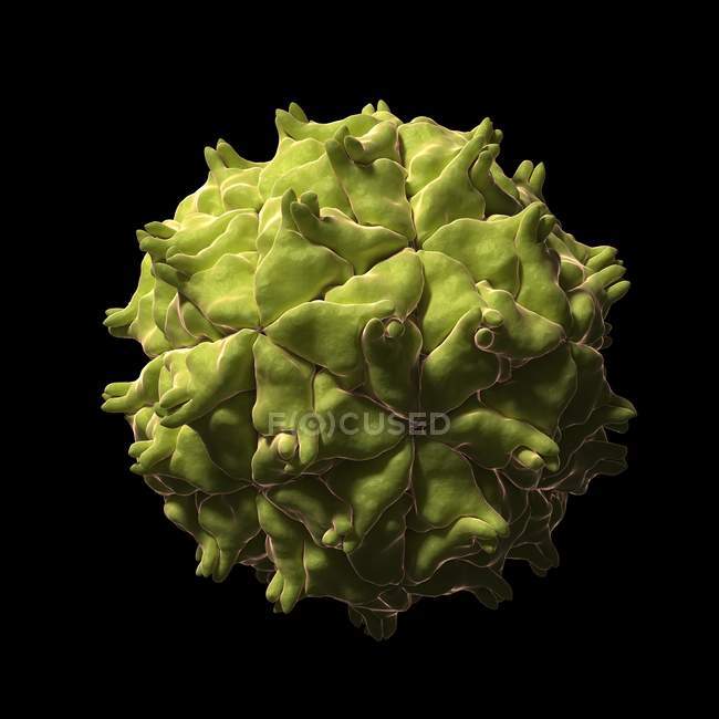 Partícula do vírus nodamura — Fotografia de Stock