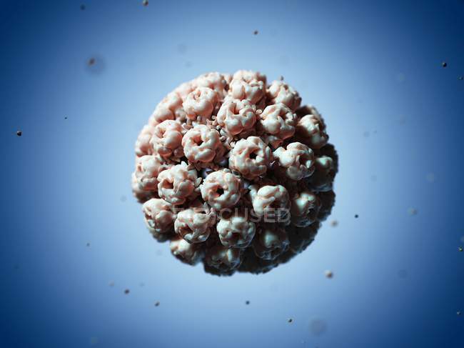 Virus de Simian 40 partículas - foto de stock