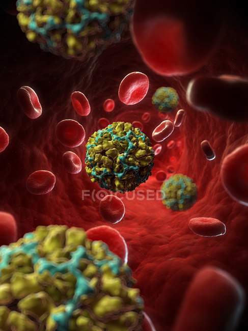 Rendering visivo del rinovirus umano 14 — Foto stock