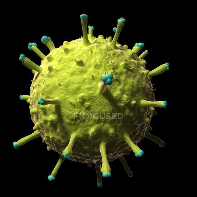 Rendu visuel de la grippe porcine — Photo de stock