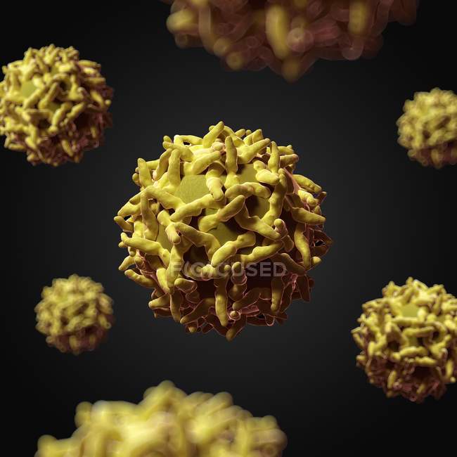 Virus de la fiebre amarilla - foto de stock