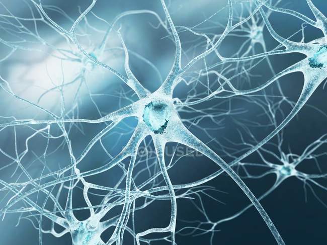 Células nerviosas y conexiones axónicas - foto de stock