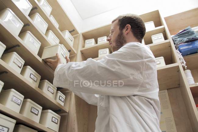 Pharmacist selecting drugs in boxes on shelves of drugstore. — Stock Photo