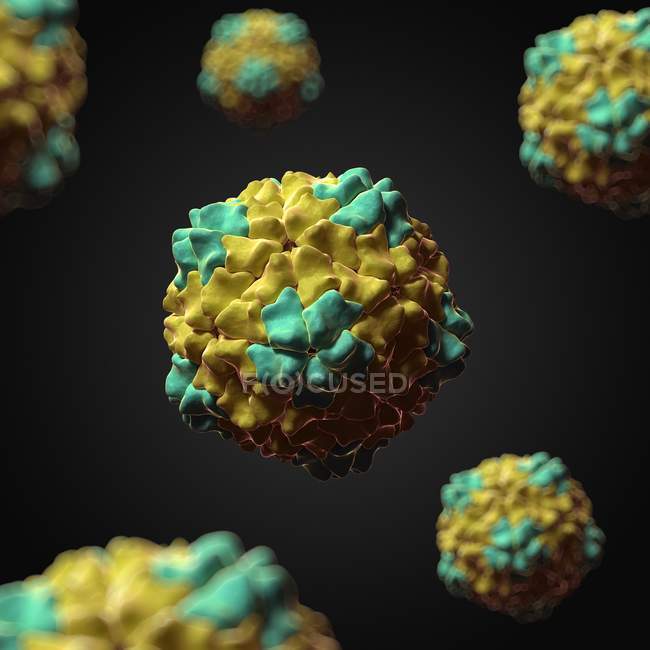 Arroz amarelo mottle vírus — Fotografia de Stock