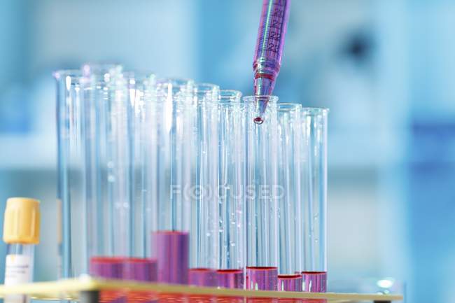 Close-up of pipetting liquid into test tubes — Stock Photo
