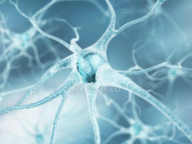 Nerve cells and axon connections — Stock Photo