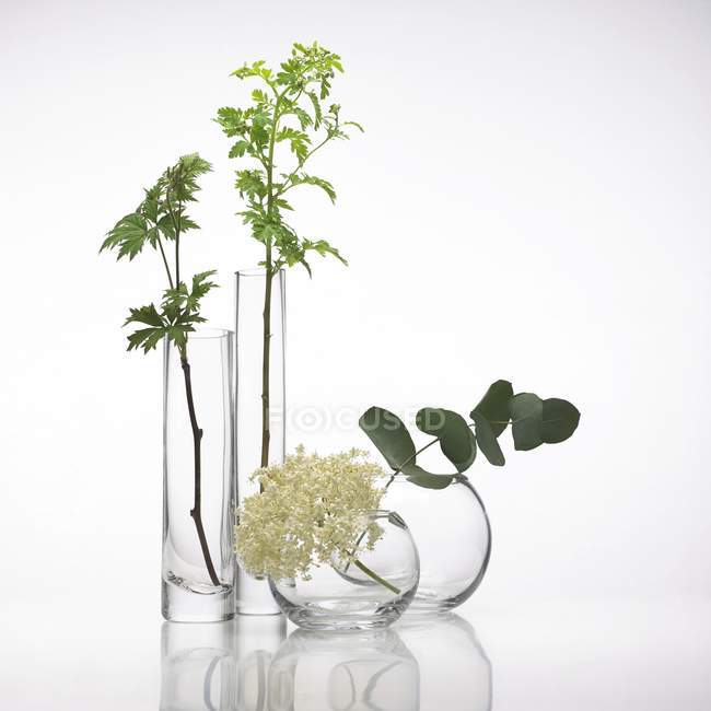 Medical herbs in glass pots — Stock Photo