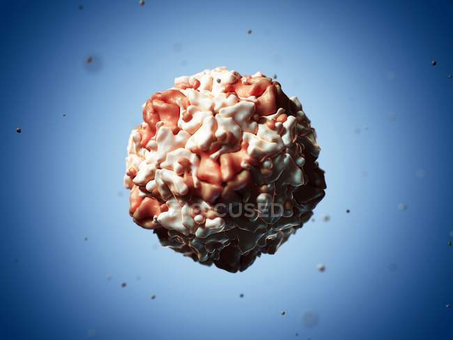 Partícula do vírus da doença vesiculosa do suíno — Fotografia de Stock