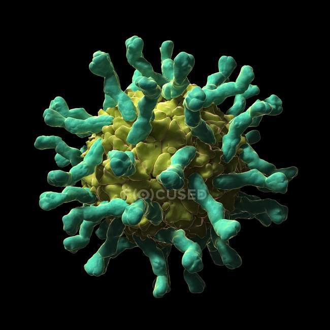 Poliovirus-Rezeptor-Komplex — Stockfoto