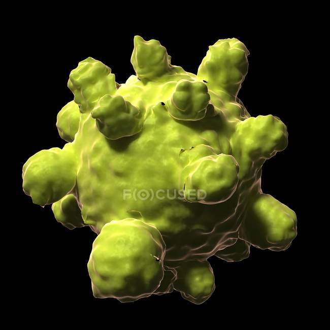 Renderizado visual del virus del sarampión - foto de stock