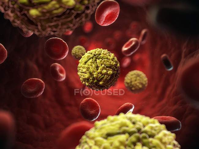 Visual render of Dengue virus — Stock Photo
